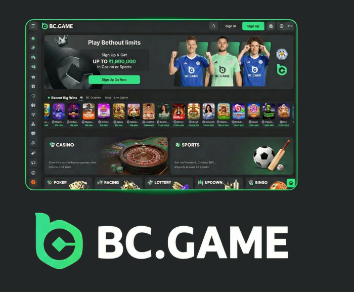 Corgibet Casino Payment Methods Secure and Convenient Transactions